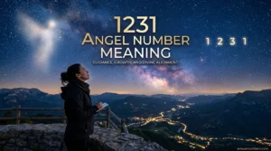 1231 Angel Number Meaning