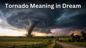 Tornado Meaning in Dream